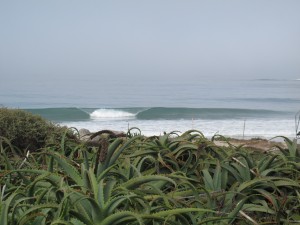 img_7234 The beachbreaks have been super clean over the last few days...