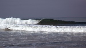 img_7356 Sunday morning perfection down at the beach breaks!