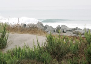 img_7373 I took this pic a few hours ago down at state. Still a few good sets coming through so get out there!