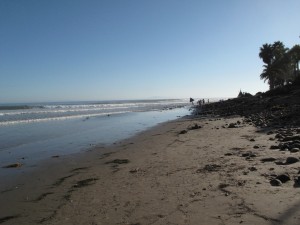 img_8052 Looking up the point at Rincon. Its hard to tell but there is a set rolling in about 500 yards up the beach...