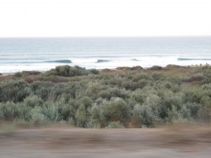 img_8113 Checking Lowers from Basilone Rd. around 7am...