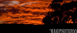 20091103_sunset_v0491-1 Breathtaking! All photos courtesy of Naki