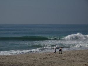 img_8578 Waves were fun today!