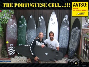 AVISOCELLINPORTUGAL Leaders of the Aviso Cell in Portugal!