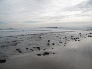 IMG_8954 IMG_8954