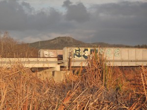 IMG_9790