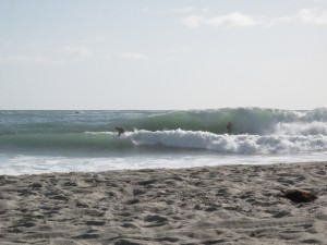 IMG_1249