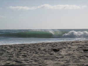 IMG_1254