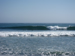 IMG_3209